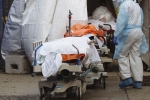 USA Coronavirus news, USA Coronavirus breaking updates, usa coronavirus deaths reaches 9 lakhs, Omicron variant