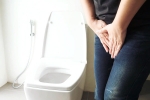 Urinary tract infection study, Urinary tract infection articles, urinary tract infection and the impacts, Bacteria