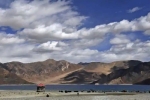 Pangong Lake, Galwan valley, india orders china to vacate finger 5 area near pangong lake, Envoy