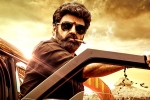 Veera Simha Reddy breaking updates, Veera Simha Reddy in Telangana, veera simha reddy sankranthi weekend collections, Varalaxmi sarathkumar