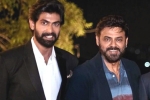 Venkatesh, Venkatesh, venky and rana daggubati s first web series in making, Viraata parvam Venkatesh, Venkatesh, venky and rana daggubati s first web series in making, Viraata parvam