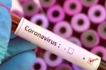 Cure for coronavirus, Coronavirus may never go, who warns covid 19 may never go away then what s the future of the world, U s federal reserve