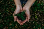 planet, earth, what can you do to save earth, Greta thunberg