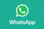 WhatsApp Native iPad App latest, WhatsApp Native iPad App latest breaking, whatsapp s native ipad app to release soon, Whatsapp native ipad app
