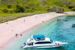 Which Pink Beach Should you Visit in Indonesia?