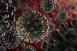 coronavirus, coronavirus, anti parasitic drug successful in killing coronavirus in 48 hours study, Dengue