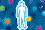 immune system, viral load, how your body fights with coronavirus, Antiviral drug
