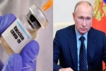 antibodies, coronavirus, russia launched the first covid 19 vaccine how it works, Fight against covid 19 antibodies, coronavirus, russia launched the first covid 19 vaccine how it works, Fight against covid 19