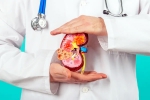 Kidney Health experts, Kidney Health food, top fruits that are good for kidney health, Rana