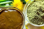 Henna conditioner, Henna, how henna helps for hair growth and health, Dandruff