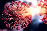 coronavirus in China, new coronavirus variant in China, new and highly infectious covid 19 variant emerges in china, Omicron variant