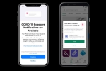 Apple, exposure notification express, apple releases ios 13 7 with covid 19 exposure notifications, Apple ios 18 2