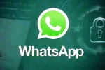 iOS Testing Multi-Account Support for WhatsApp breaking news, iOS Testing Multi-Account Support for WhatsApp breaking news, whatsapp for ios testing multi account support, Messi