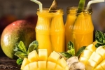 Indian mangoes in united states, Indian mangoes, longing for indian mangoes here are the best places to buy indian mangoes in america, Apeda