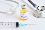 BCG vaccine, BCG vaccine, bcg vaccination a possible game changer us scientists, Bcg vaccine