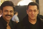 Aashritha daggubati, Salman Khan, watch salman khan shake legs with venkatesh at his daughter aashritha daggubati s wedding, Bollywood star salman khan Aashritha daggubati, Salman Khan, watch salman khan shake legs with venkatesh at his daughter aashritha daggubati s wedding, Bollywood star salman khan