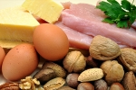 body, tissues, why protein is an important part of your healthy diet, Peptides