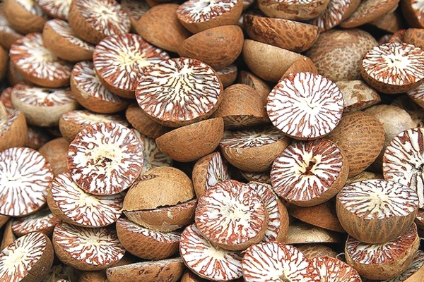Public Health Officials Warn About Betel Nut