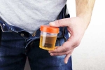 Hidden Kidney Cancer Risks breaking, Hidden Kidney Cancer Risks latest breaking, spotting blood in urine can reveal hidden kidney cancer risks, Smoking