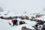 Mount Everest Snowstorm new updates, Mount Everest Snowstorm stranded, more than 1000 stranded near mount everest because of snow storm, Videos