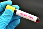 Nipah Virus in South India, Nipah Virus symptoms, nipah virus is back again two deaths registered, Health minister