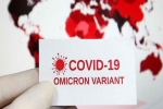 Omicron USA updates, Omicron USA research, omicron is no worse than other variants says us scientists, Anthony fauci