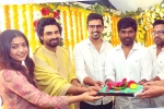 Rashmika Mandanna, Rashmika Mandanna news, rashmika signs a women centric attempt, Amala akkineni
