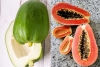 Raw Papaya Vs Ripe Papaya: Which Is Better for Blood Sugar? Raw Papaya Vs Ripe Papaya: Which Is Better for Blood Sugar?