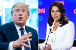 tulsi gabbard, al qaeda, trump slams tulsi gabbard for alleging that he supports al qaeda, Al qaeda
