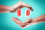 World Kidney Day 2025 theme, World Kidney Day 2025 tips, world kidney day 2025 theme and health tips, Balanced diet
